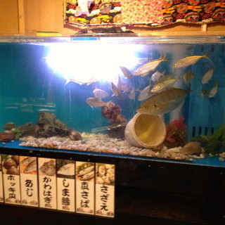 海鮮居酒屋 築地 はなの舞 二俣川南口店_2