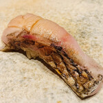 鮨 由う - ・長崎県対馬産のどぐろ 紅瞳