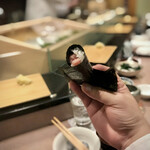 鮨処 多田 - トロ鉄火