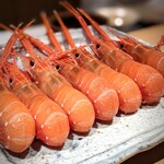日本料理FUJI - プリッとお尻を並べて勢揃いの赤座海老