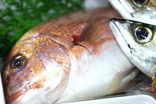h Shunju Tsugihagi - 料理長自ら漁港をまわり仕入れる魚。