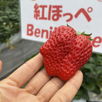 姫路ハートフル観光農園 - 