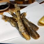 魚の店 オカモ倶楽部 - メヒカリ唐揚げ385円！