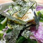 Ootoya - ひんやり豆腐サラダ