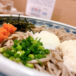 Teuchi Izumo Soba - 