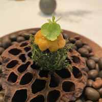 Installation Table ENSO L'asymetrie du calme - 