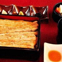 各種ブランドうなぎ「白焼き重」