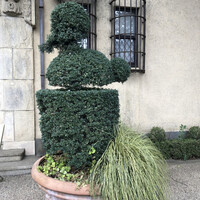 小笠原伯爵邸 - 