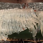 烏賊・鮨ダイニング 鮮助 - 