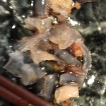 烏賊・鮨ダイニング 鮮助 - 