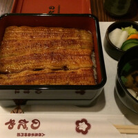 入谷鬼子母神門前のだや - あさがお