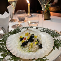 レフェルヴェソンス - 