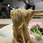 鶏白湯泡ramen たまき - 麺