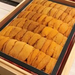 島津 - バフンウニ登場