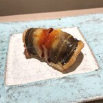 島津 - 対馬 アナゴ