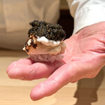 鮨 一幸 - 白子キャビア