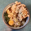 明神そば - 天玉そば（480円）