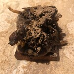 ル スプートニク - 2/12