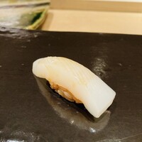 匠　達広 - 白烏賊