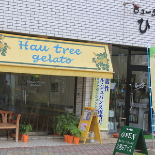 ハウ・トゥリー・ジェラート_1