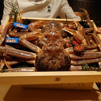 弧柳 - 