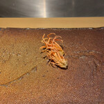 天ぷらあら木 - 