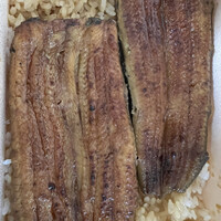 うなぎ 目白ぞろ芽 - 
