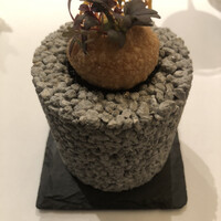 エディション・コウジ シモムラ - 