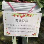 青蓮寺湖ぶどう組合 - あきひめ説明