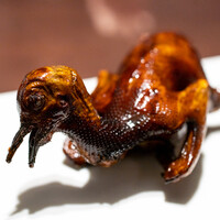 中華ダイニング 一途一心 - 2022.2 鳩の焼き物
