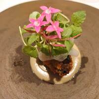 山地陽介 - 美しい前菜の一品