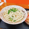 うどん さか枝