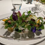 レフェルヴェソンス - 