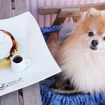 ハワイアンカフェ 魔法のパンケーキ - 【2022.02】 魔法のパンケーキ(税込880円)