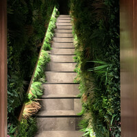 肉割烹 ASATSUYU - 