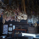 洋菓子店 センチメント - 