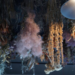 洋菓子店 センチメント - 