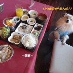 Doggu Rizo-To Wafu - 《朝食(和定食)》♨