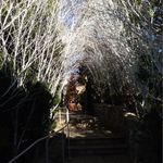 あざみ野うかい亭 - 