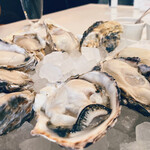 GUMBO AND OYSTERBAR  - 