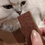 マジドゥショコラ - 