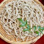 Teuchi Soba Katou - 蕎麦は細打ちでしっかり締まっています