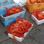 味処・民宿 まつや - 店頭での蟹の販売