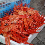 味処・民宿 まつや - 販売中の紅ズワイ