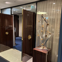 SALONE 2007 - 