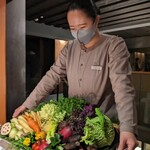 レフェルヴェソンス - 