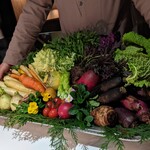 レフェルヴェソンス - 