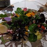 レフェルヴェソンス - 