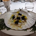 レフェルヴェソンス - 