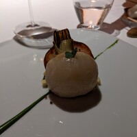 レフェルヴェソンス - 